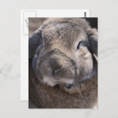 Carte Postale Personnaliser (Devant / Derrière)