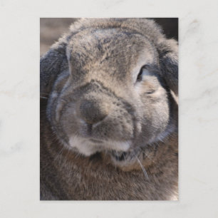 Carte Postale Personnaliser