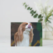 Carte Postale Personnaliser (Debout devant)