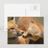 Carte Postale Personnaliser (Devant / Derrière)