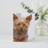 Carte Postale Personnaliser (Debout devant)