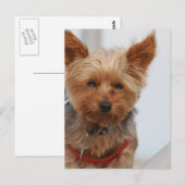 Carte Postale Personnaliser (Devant / Derrière)