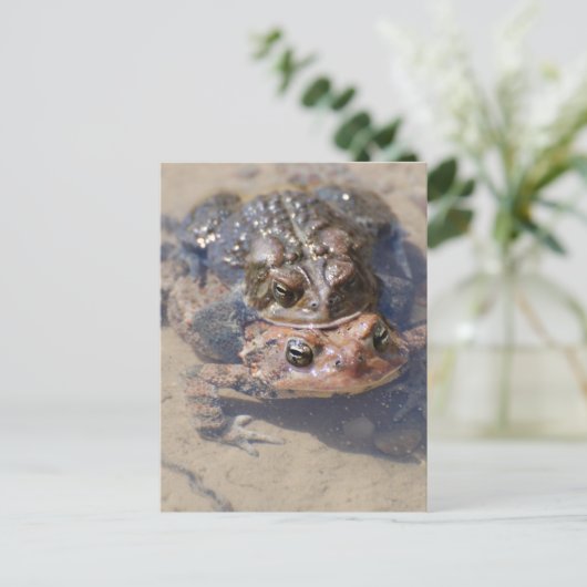 Carte Postale Personnaliser (Debout devant)