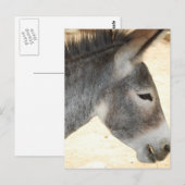 Carte Postale Personnaliser (Devant / Derrière)