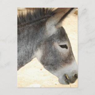 Carte Postale Personnaliser