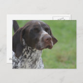 Carte Postale Personnaliser (Devant / Derrière)