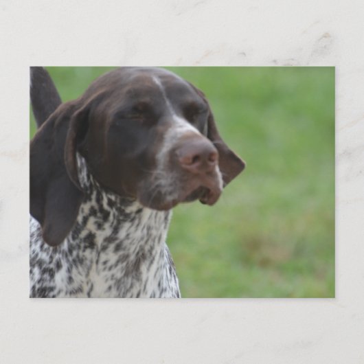 Carte Postale Personnaliser (Devant)