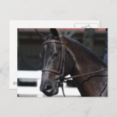 Carte Postale Personnaliser (Devant / Derrière)