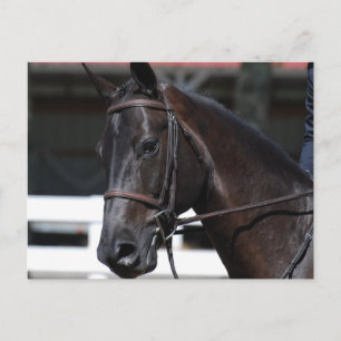 Carte Postale Personnaliser