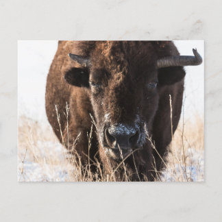 Carte Postale Personnaliser