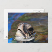 Carte Postale Personnaliser (Devant / Derrière)