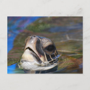 Carte Postale Personnaliser