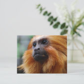 Carte Postale Personnaliser (Debout devant)