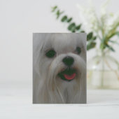 Carte Postale Personnaliser (Debout devant)