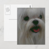 Carte Postale Personnaliser (Devant / Derrière)