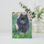 Carte Postale Personnaliser (Debout devant)