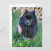 Carte Postale Personnaliser (Devant / Derrière)