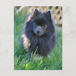 Carte Postale Personnaliser