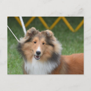 Carte Postale Personnaliser