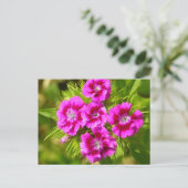 Carte Postale Personnaliser (Debout devant)