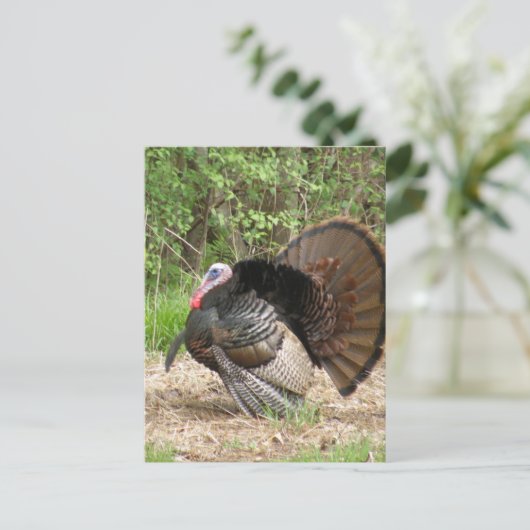 Carte Postale Personnaliser (Debout devant)