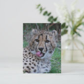 Carte Postale Personnaliser (Debout devant)
