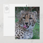 Carte Postale Personnaliser (Devant / Derrière)
