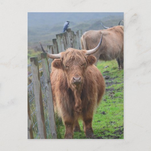 Carte Postale Personnaliser (Devant)