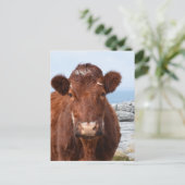 Carte Postale Personnaliser (Debout devant)