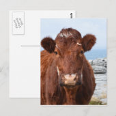 Carte Postale Personnaliser (Devant / Derrière)