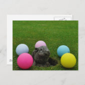 Carte Postale Personnaliser (Devant / Derrière)