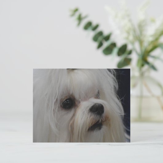 Carte Postale Personnaliser (Debout devant)