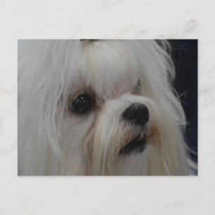 Carte Postale Personnaliser