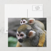 Carte Postale Personnaliser (Devant / Derrière)