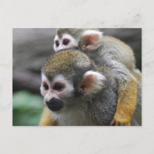 Carte Postale Personnaliser