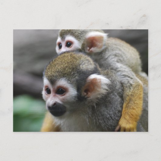 Carte Postale Personnaliser (Devant)