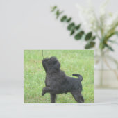 Carte Postale Personnaliser (Debout devant)