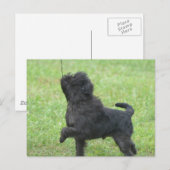 Carte Postale Personnaliser (Devant / Derrière)