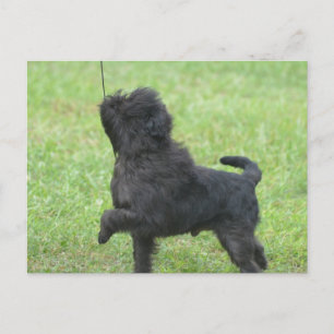 Carte Postale Personnaliser