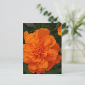 Carte Postale Personnaliser (Debout devant)