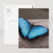 Carte Postale Personnaliser (Devant / Derrière)