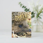 Carte Postale Personnaliser (Debout devant)