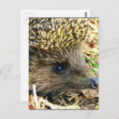 Carte Postale Personnaliser (Devant / Derrière)