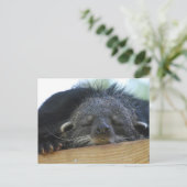 Carte Postale Personnaliser (Debout devant)