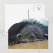 Carte Postale Personnaliser (Devant / Derrière)