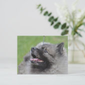 Carte Postale Personnaliser (Debout devant)