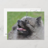 Carte Postale Personnaliser (Devant / Derrière)