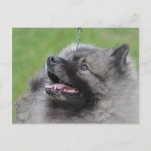 Carte Postale Personnaliser