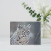 Carte Postale Personnaliser (Debout devant)