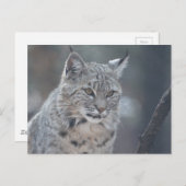 Carte Postale Personnaliser (Devant / Derrière)